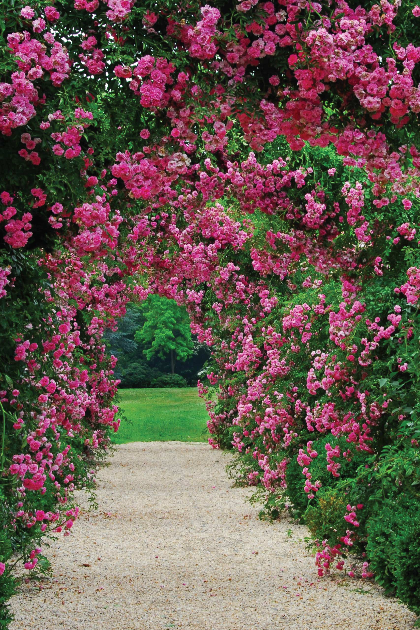 Garden Tour