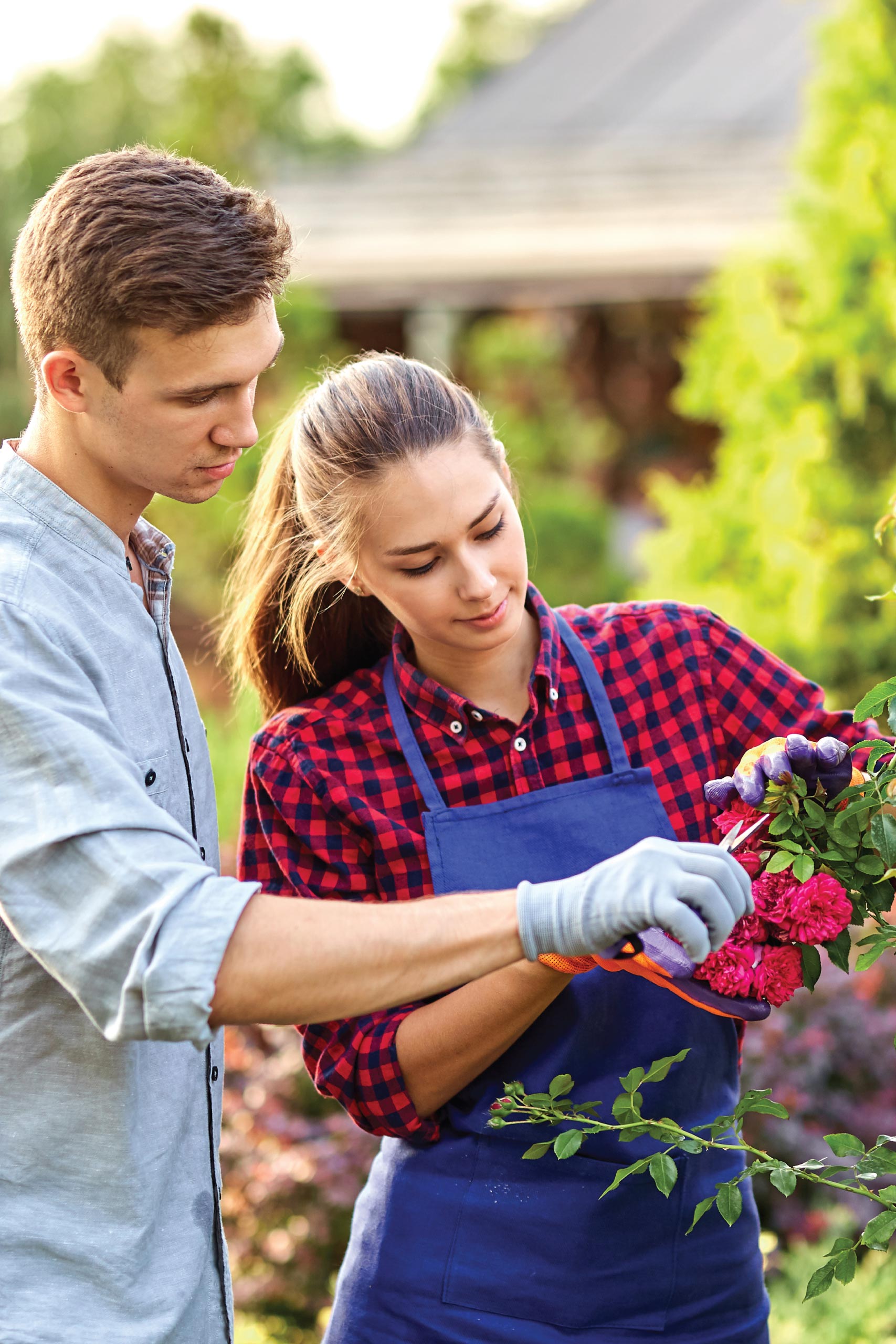 Certified rosarian how to grow roses