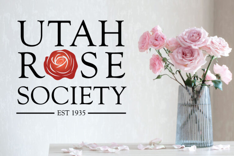Utah Rose Show + How to Enter Your Roses
